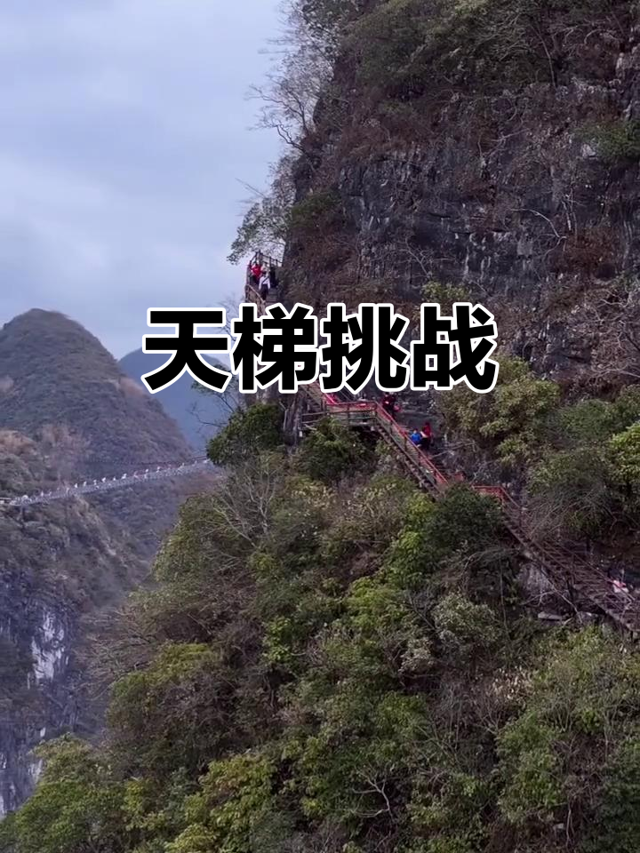 天梯攀岩赛，突破极限登顶最高峰的简单介绍