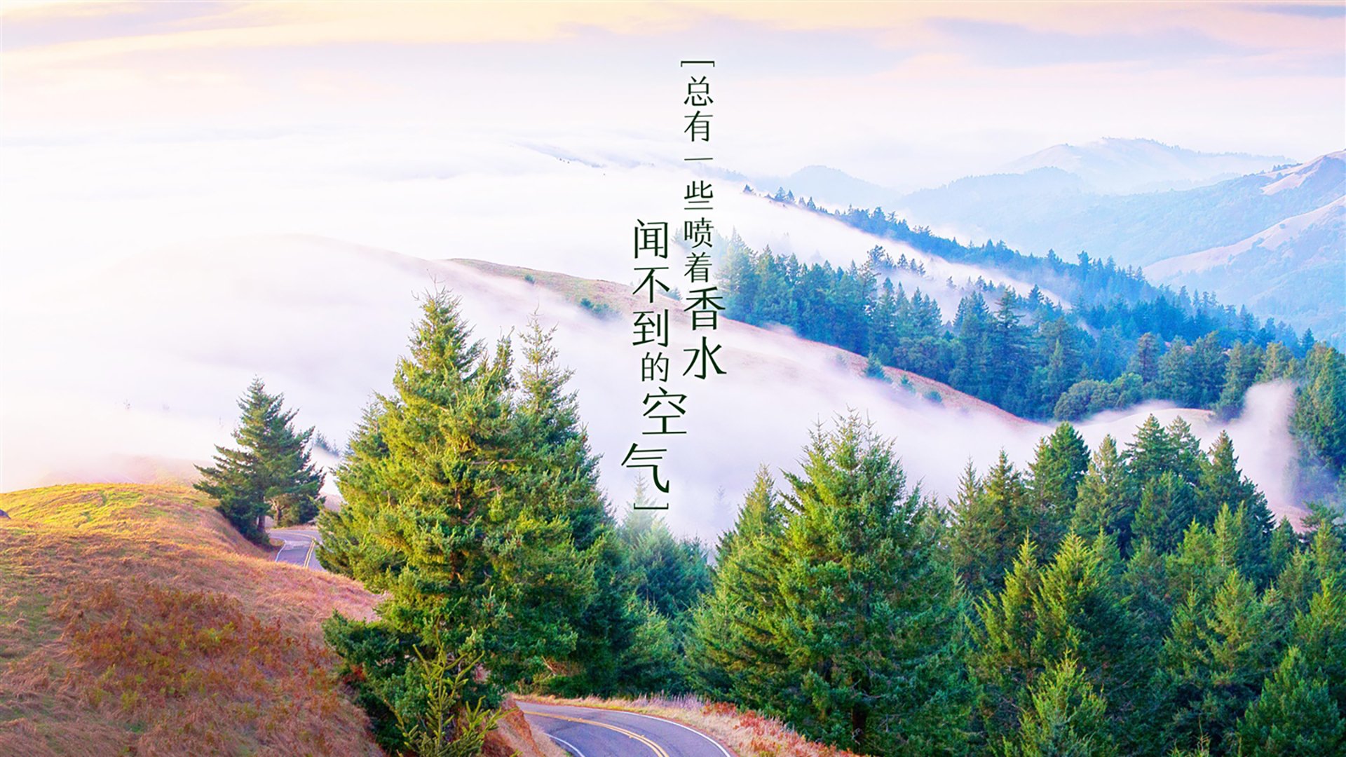 德赢体育注册登陆网址-全国青少年足球裁判员能力提升工程正式启动，为行业“输送”人才