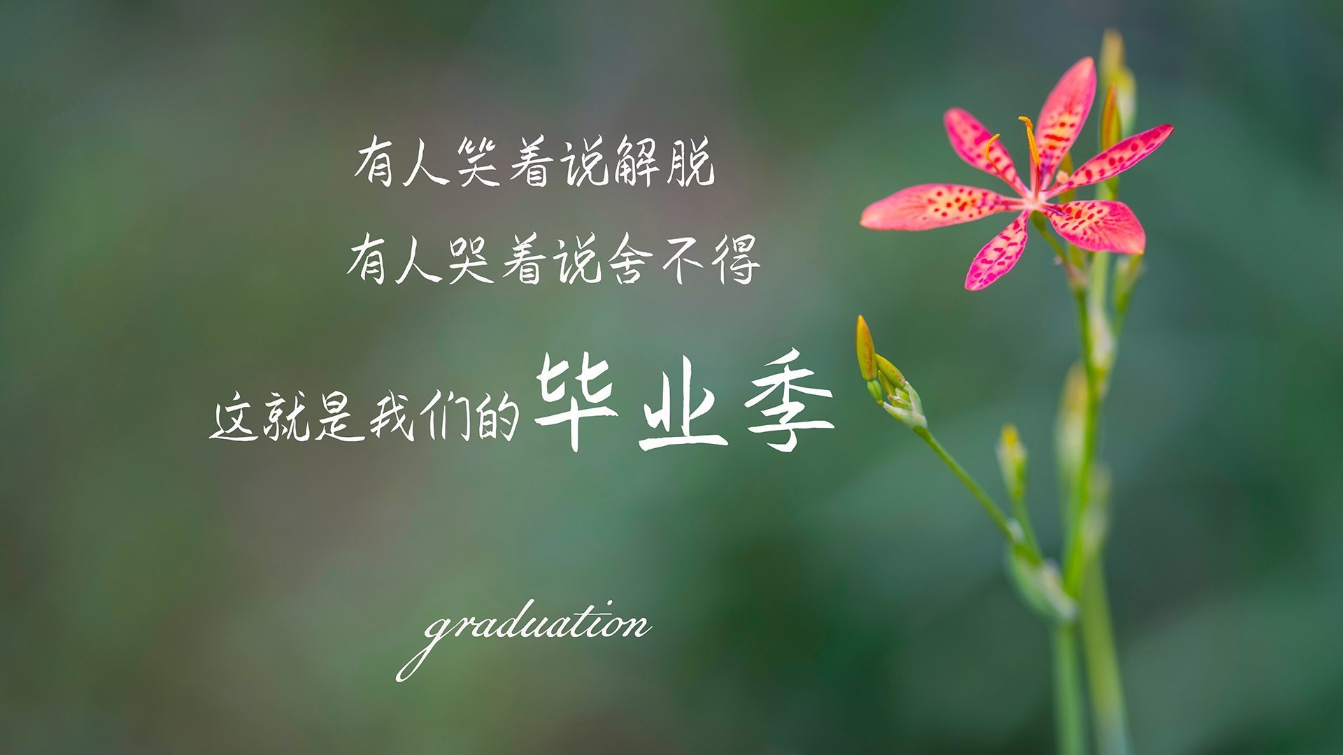 vwin在线登录电脑版-凯尔特人主场击退猛龙，凯尔特人vs猛龙全场回放