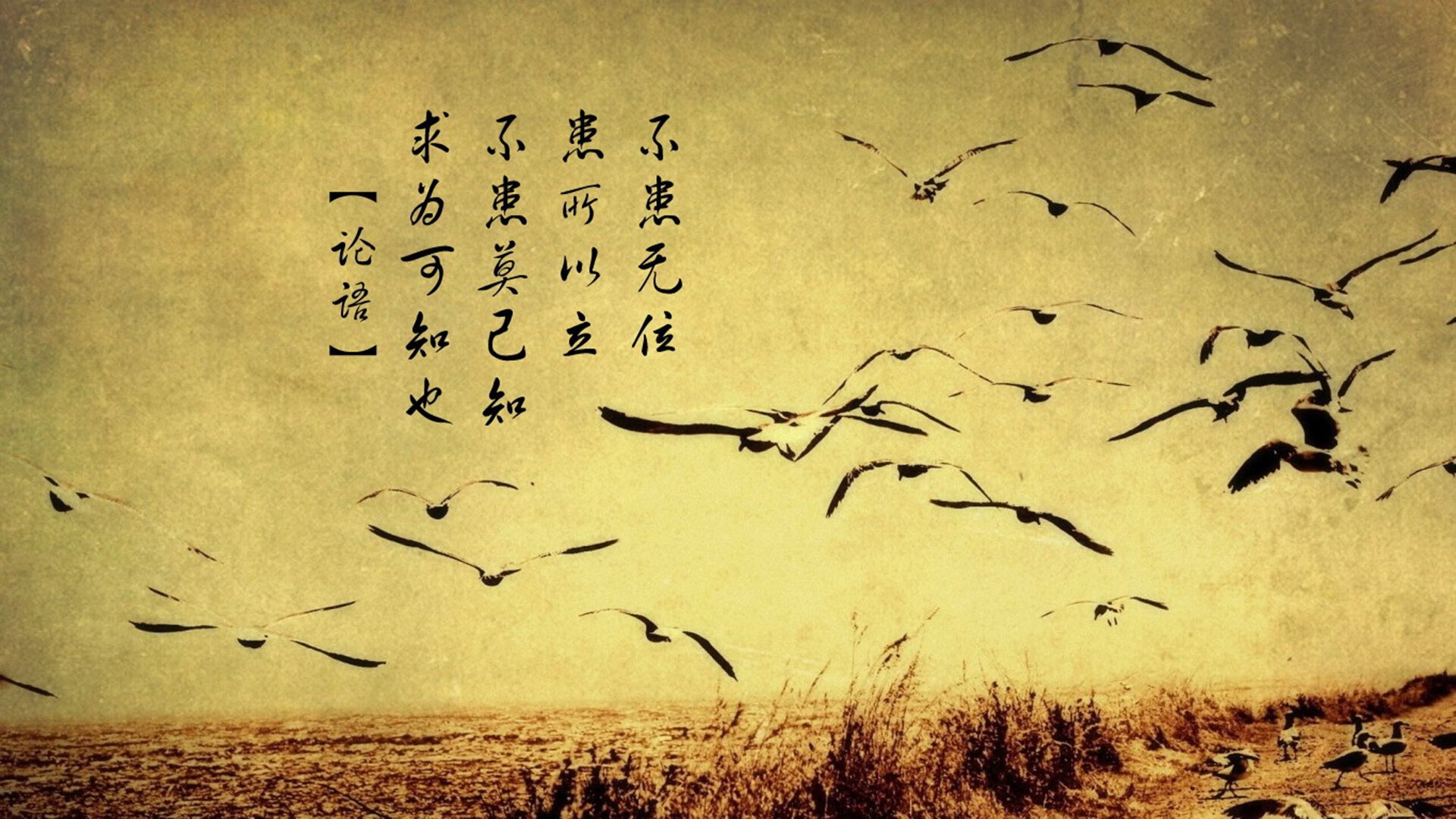 马拉维男篮在非洲锦标赛中持续突破，创造运动史新高，非洲 马拉维